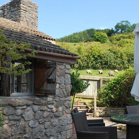 Fenny Castle Vineyard Cottage Wookey Eksteriør bilde
