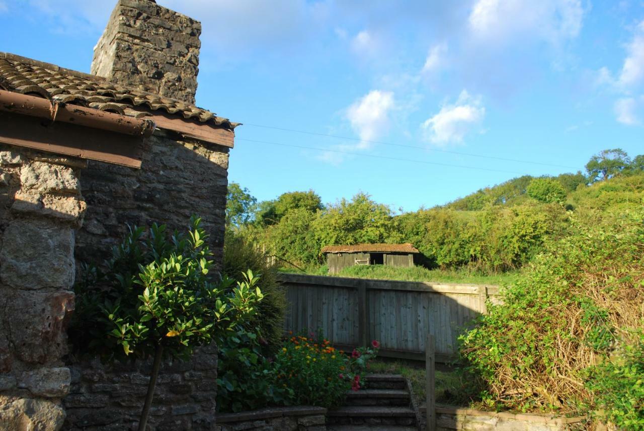 Fenny Castle Vineyard Cottage Wookey Eksteriør bilde