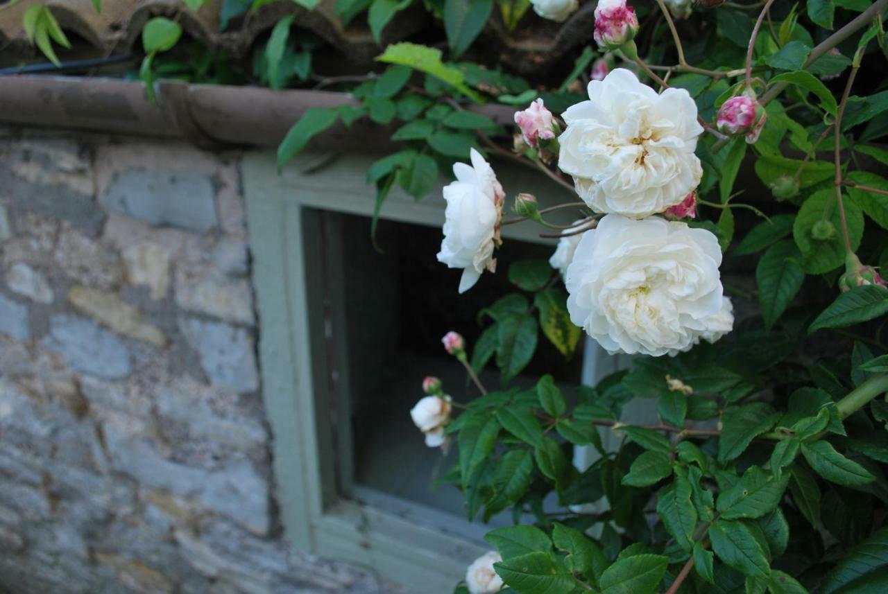 Fenny Castle Vineyard Cottage Wookey Eksteriør bilde